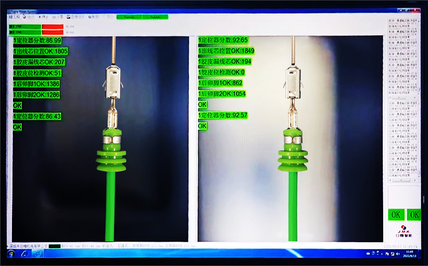 CCD camera check detection